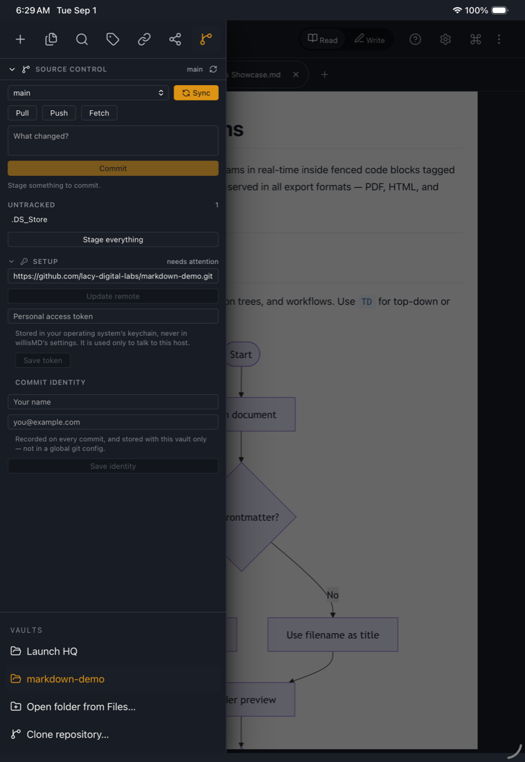 WillisMD Pro on iPad showing the Source Control view with git changes